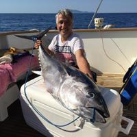 Tritasarde elettronico no sardamatic