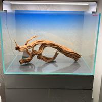 Acquario completo di tutto Amtra 60x40x40