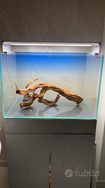 Acquario completo di tutto Amtra 60x40x40