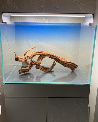 Acquario completo di tutto Amtra 60x40x40