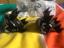 Immagine 1