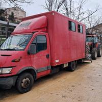 trasporto animali vivi