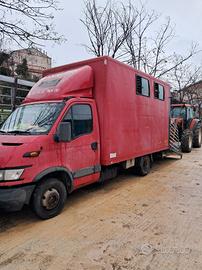 trasporto animali vivi