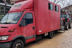 trasporto animali vivi