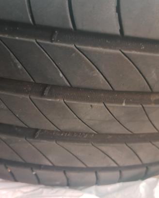 Gomme estive C3 (2023)