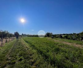 TER. AGRICOLO A MISANO ADRIATICO