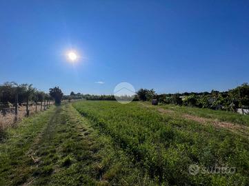 TER. AGRICOLO A MISANO ADRIATICO