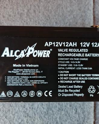 Batteria AGM 12V 12A (2 Batterie)
