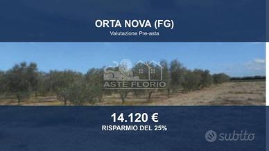 Immobile in asta di 3768 m² a Orta Nova