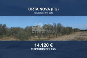 Immobile in asta di 3768 m² a Orta Nova