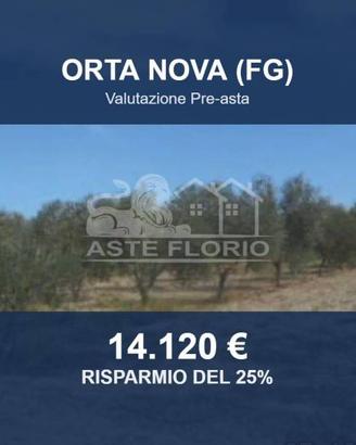 Immobile in asta di 3768 m² a Orta Nova