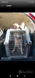 trasportino per cani taglia grande
