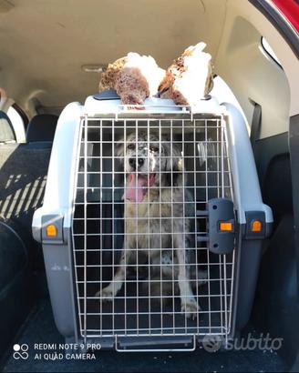 trasportino per cani taglia grande
