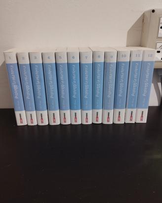 manga proteggi la mia terra