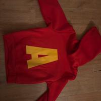 Costume carnevale Alvin