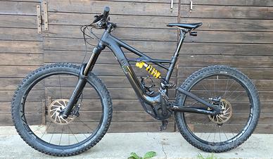 Specialized Kenevo expert