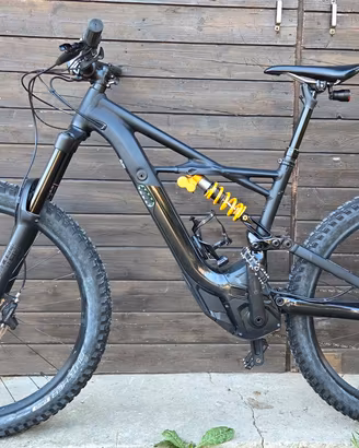 Specialized Kenevo expert