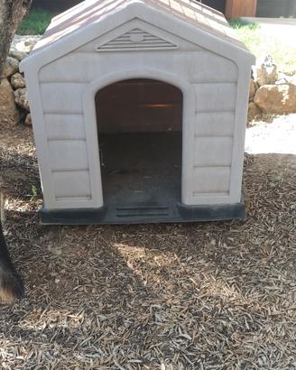 cuccia per cane taglia grande