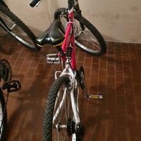 bici mtb da 24
