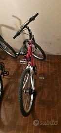 bici mtb da 24