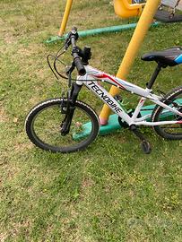 Bicicletta da bambino