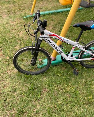 Bicicletta da bambino