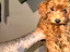 Immagine 3