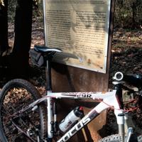 MTB Focus black forest 29r sram 2013