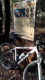 MTB Focus black forest 29r sram 2013