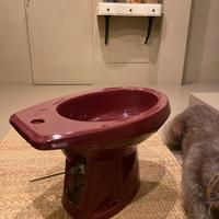 Bidet vintage Anni ‘50 - Ideal Standard