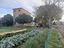 Immagine 12