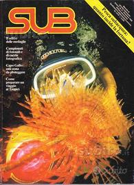 Rivista sub