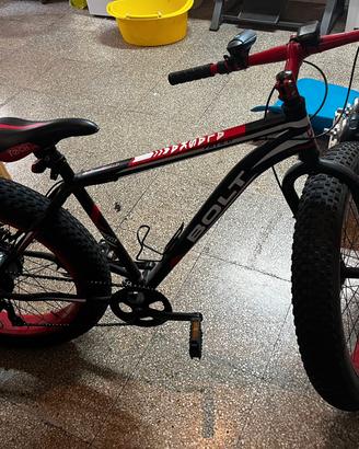 bici alaska 