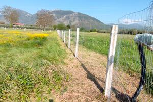 Terreno agricolo irrigabile a Venafro 