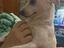 Immagine 3