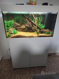 Juwel Rio 125