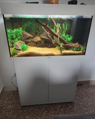 Juwel Rio 125