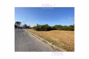 Terreno Agricolo Collesalvetti [A4287949]