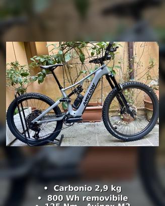 AMFLOW PR CARBON