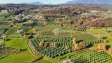 TERRENO A PUEGNAGO SUL GARDA