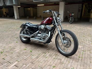 Harley davidson sportster 883 custom