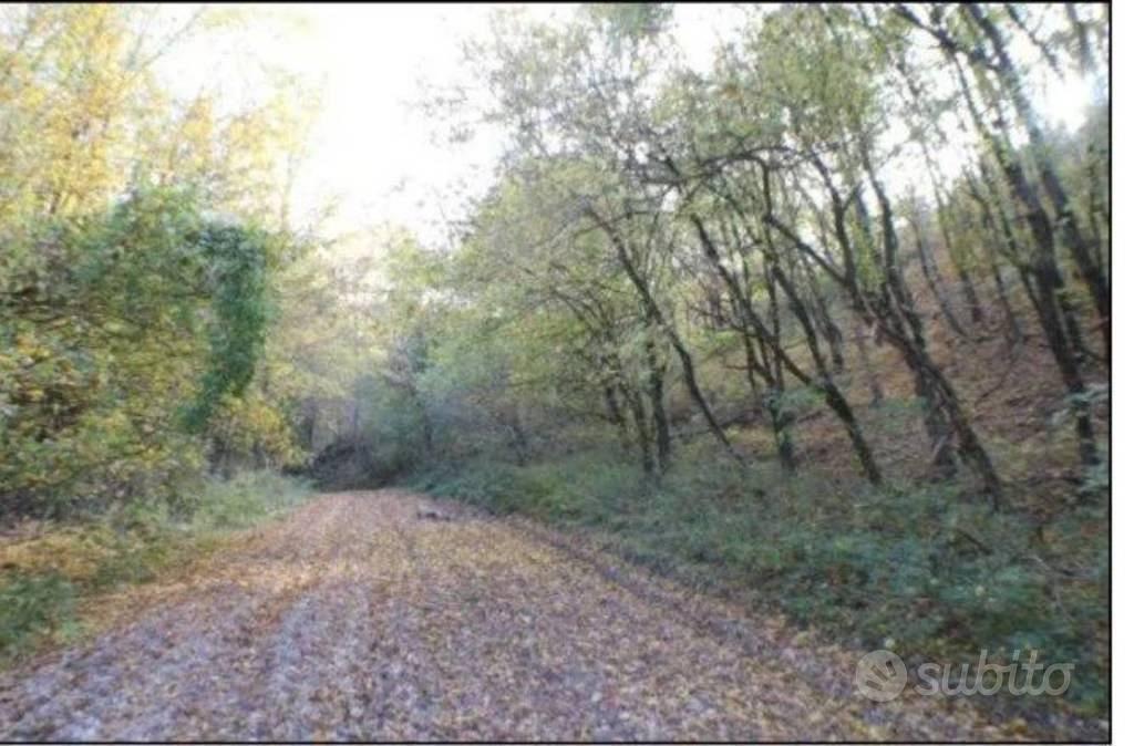 Immobile in asta di 65380 m² a Nocera Umbra - Vista 3