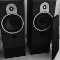 Diffusori a pavimento B&W DM 570