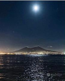 Chef-cuoco esperienze dimostrabili disponibile