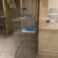 Cesti contenitori in metallo