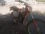 Immagine 2