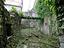 Immagine 5