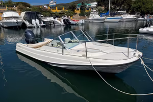 Boston Whaler Revenge 21