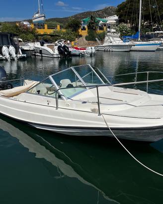 Boston Whaler Revenge 21