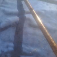 canna da pesca daiwa